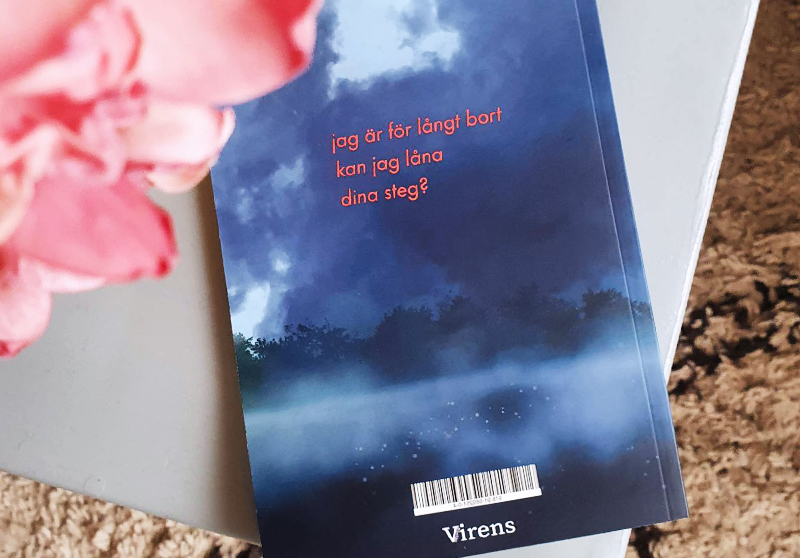 Kan jag låna dina steg?