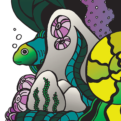 Among Fish and Jellyfish